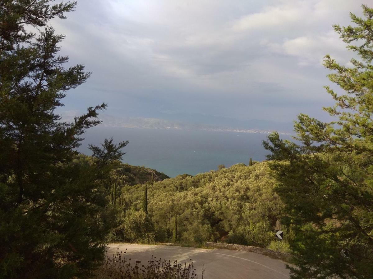 Efi Loutses *