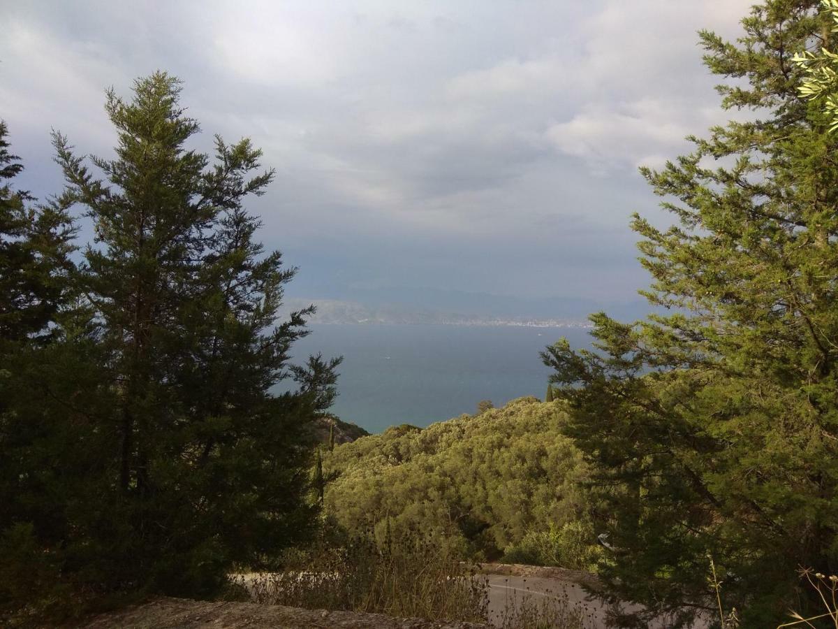 Efi Loutses Apartament